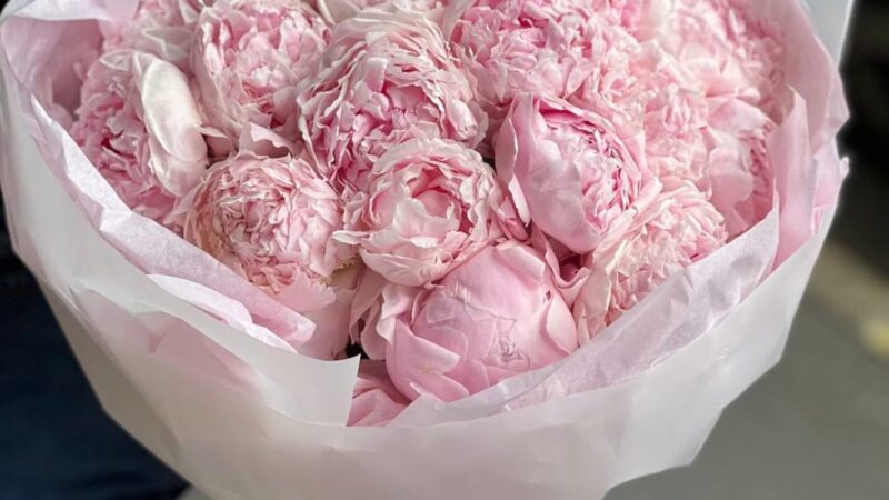 north sydney florist