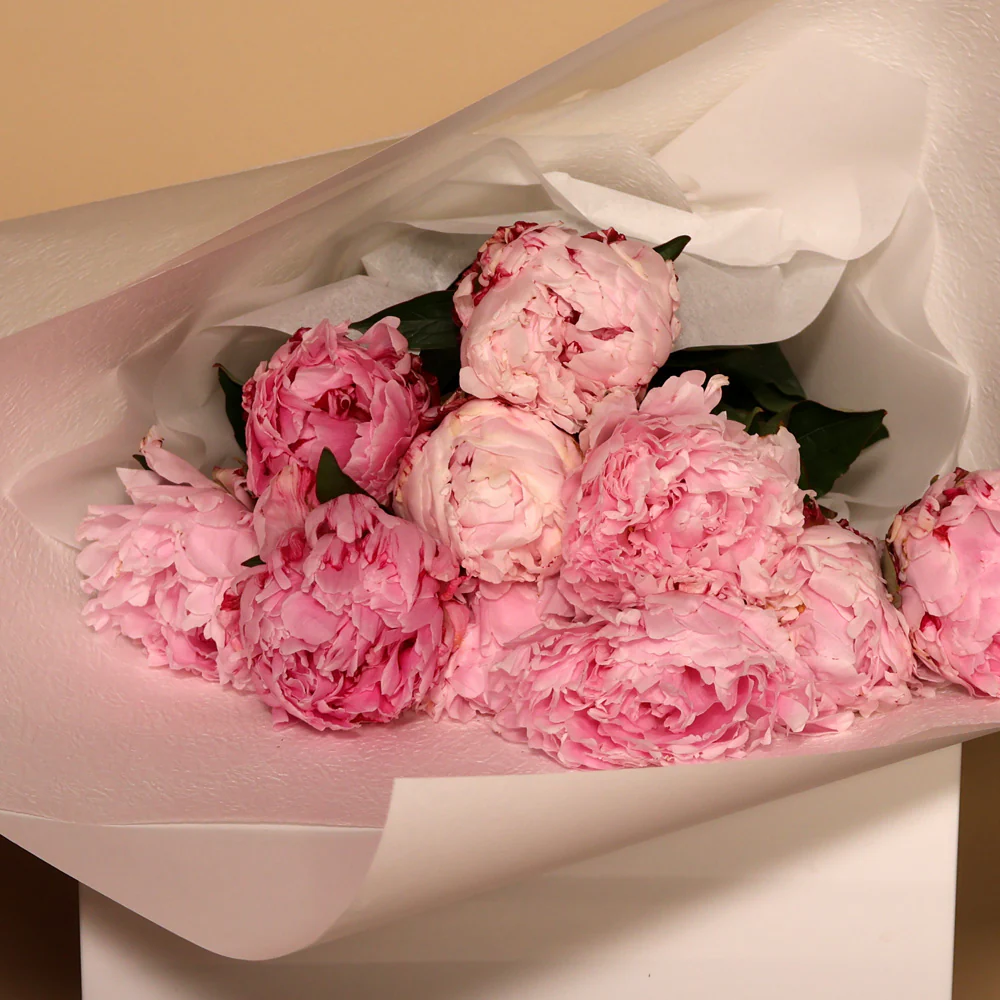 north sydney florist